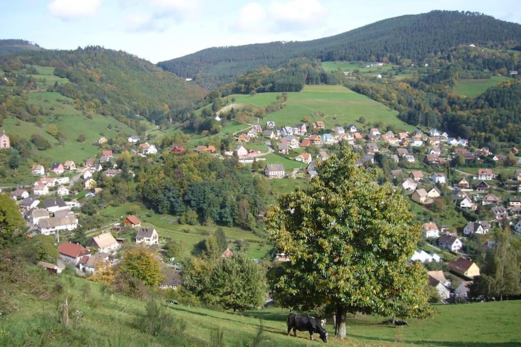 Yourte Des Verts Bois Fréland Exteriör bild